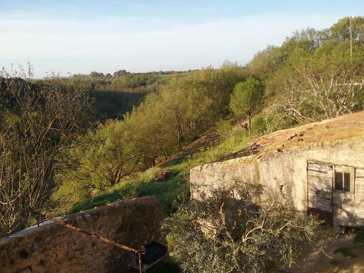 Le Petit Fabre Hotell Montagnac  Eksteriør bilde